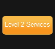 Level 2 Services