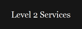 Level 2 Services